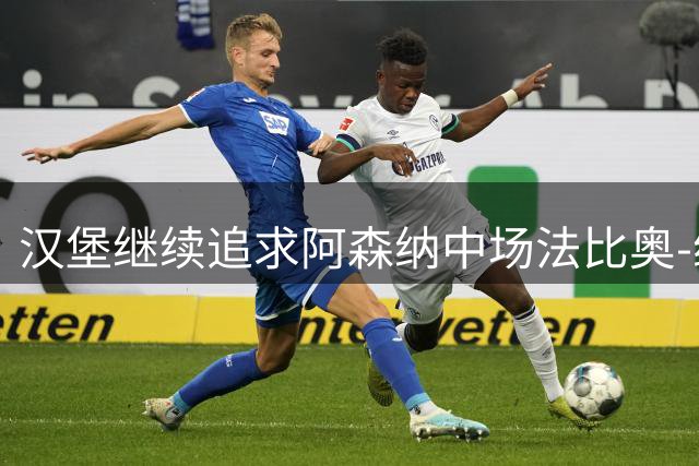 汉堡继续追求阿森纳中场法比奥-维埃拉