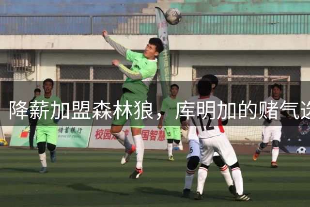 降薪加盟森林狼，库明加的赌气选择引热议